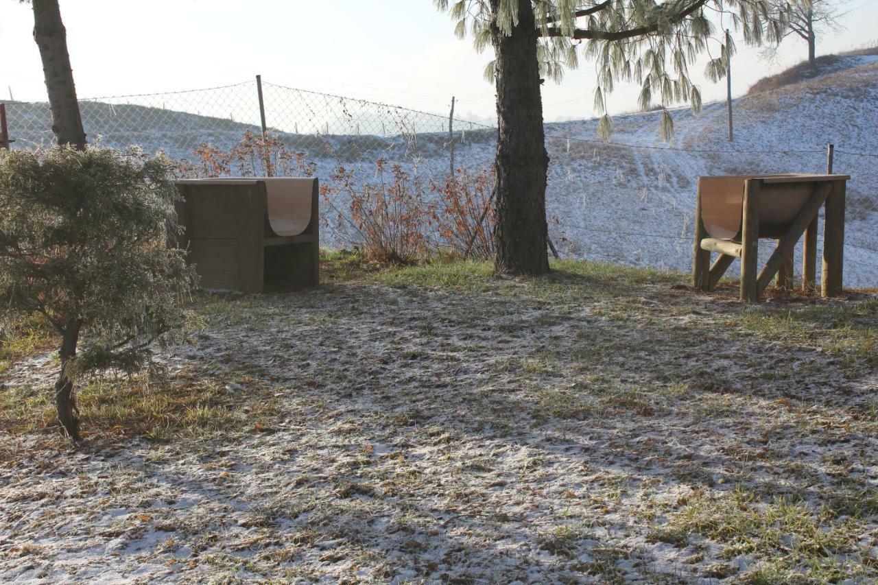 Holiday Home Winzerhaus Eva Spicnik Exterior photo