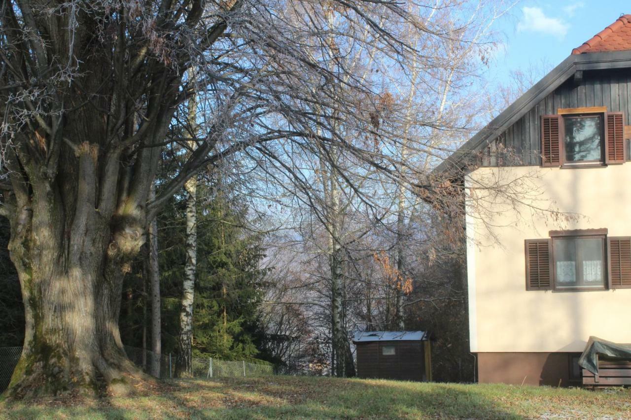 Holiday Home Winzerhaus Eva Spicnik Exterior photo
